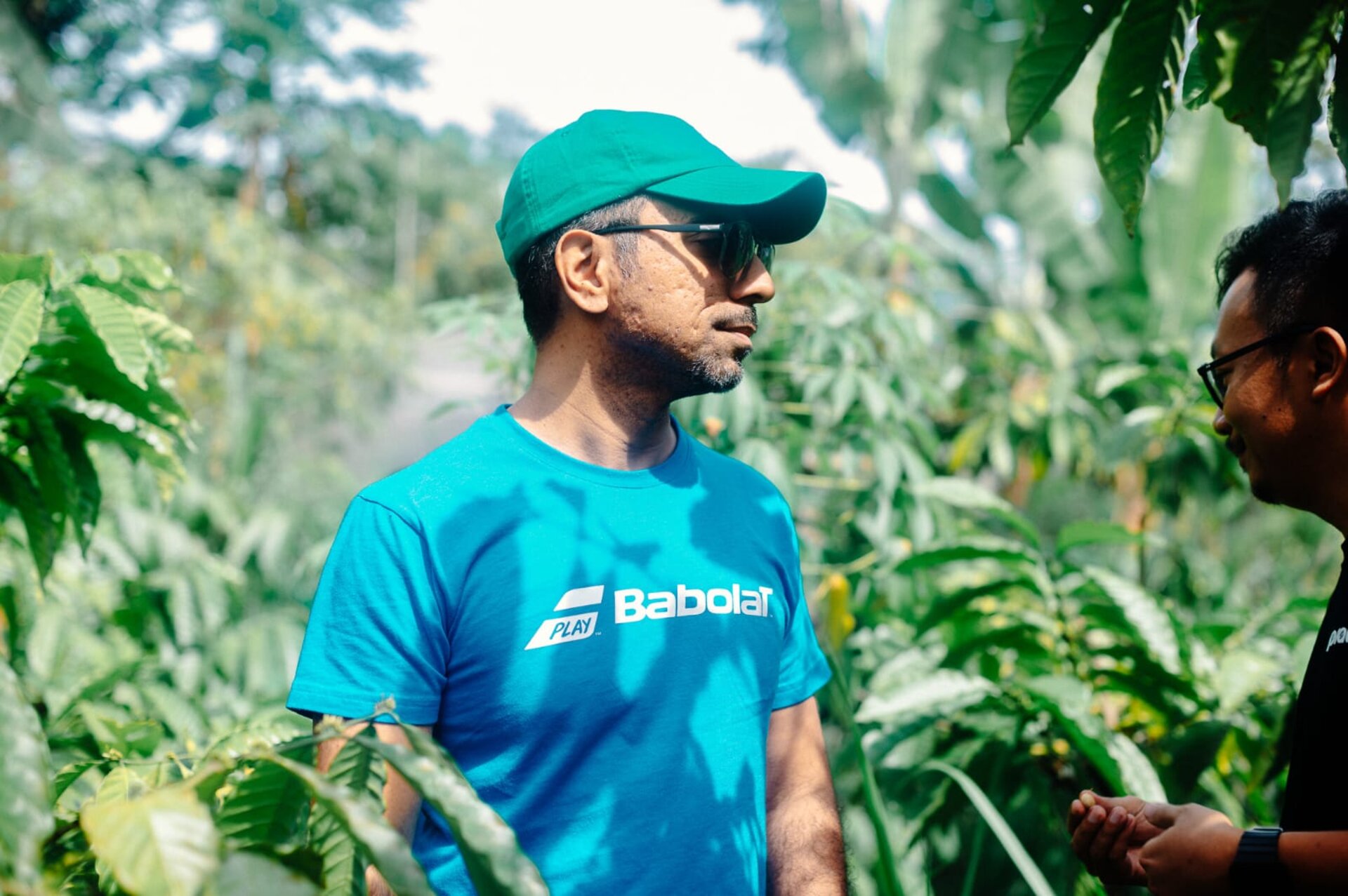 Inspecting coffee plants at origin farm